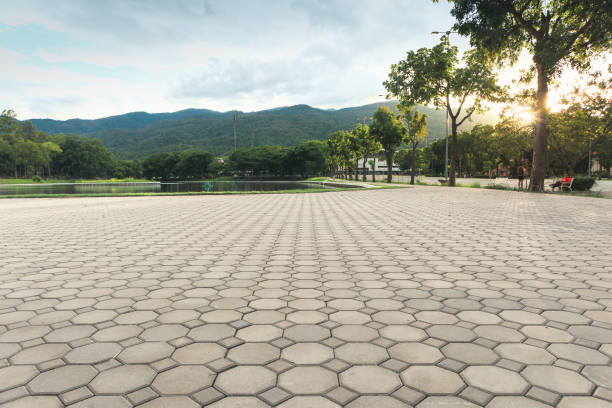 Best Residential Driveway Paver Services  in Lake Jackson, TX