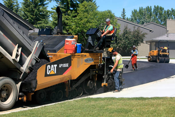 Best Residential Paver Driveway  in Lake Jackson, TX